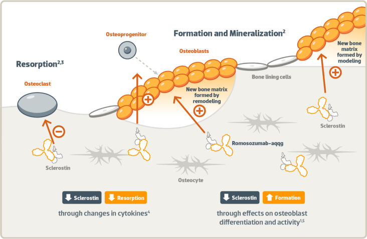 Molecular-processes