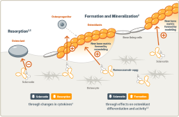 Molecular-processes