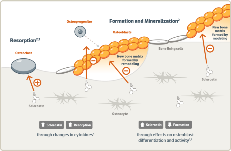 Molecular-processes
