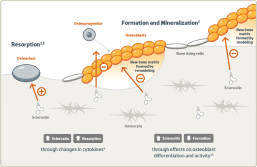 Molecular-processes