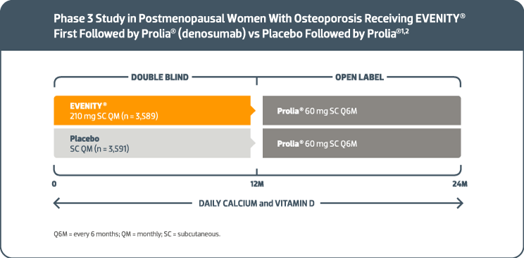 A Pivotal trial with a primary endpoint of a 12-month vertebral fracture