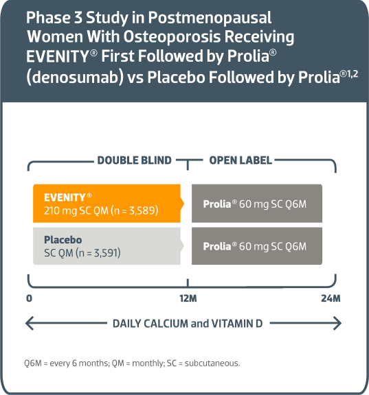 A Pivotal trial with a primary endpoint of a 12-month vertebral fracture